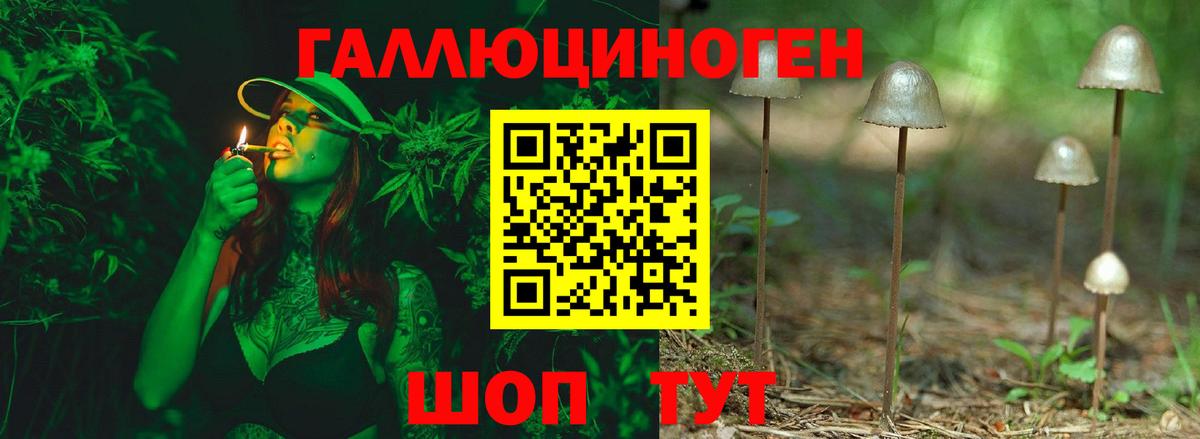 Псилоцибиновые грибы Psilocybine cubensis  купить наркоту  Боровичи  Вход с VPN  Псилоцибиновые грибы Magic Shrooms 